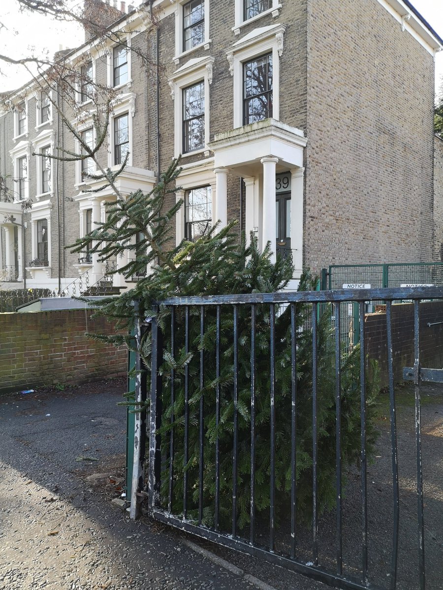 We ❤️ Stokey (@welovestokey) on Twitter photo Free Christmas tree on Clissold road from <a href="/bettylayward/">Betty Layward</a> it's enormous! 🎄#freecycle #freechristmastree #N16 #stokey #stokenewington #clissold #welovestokey #christmaseve ❤️ Free Christmas tree on Clissold road from <a href="/bettylayward/">Betty Layward</a> it's enormous! 🎄#freecycle #freechristmastree #N16 #stokey #stokenewington #clissold #welovestokey #christmaseve ❤️