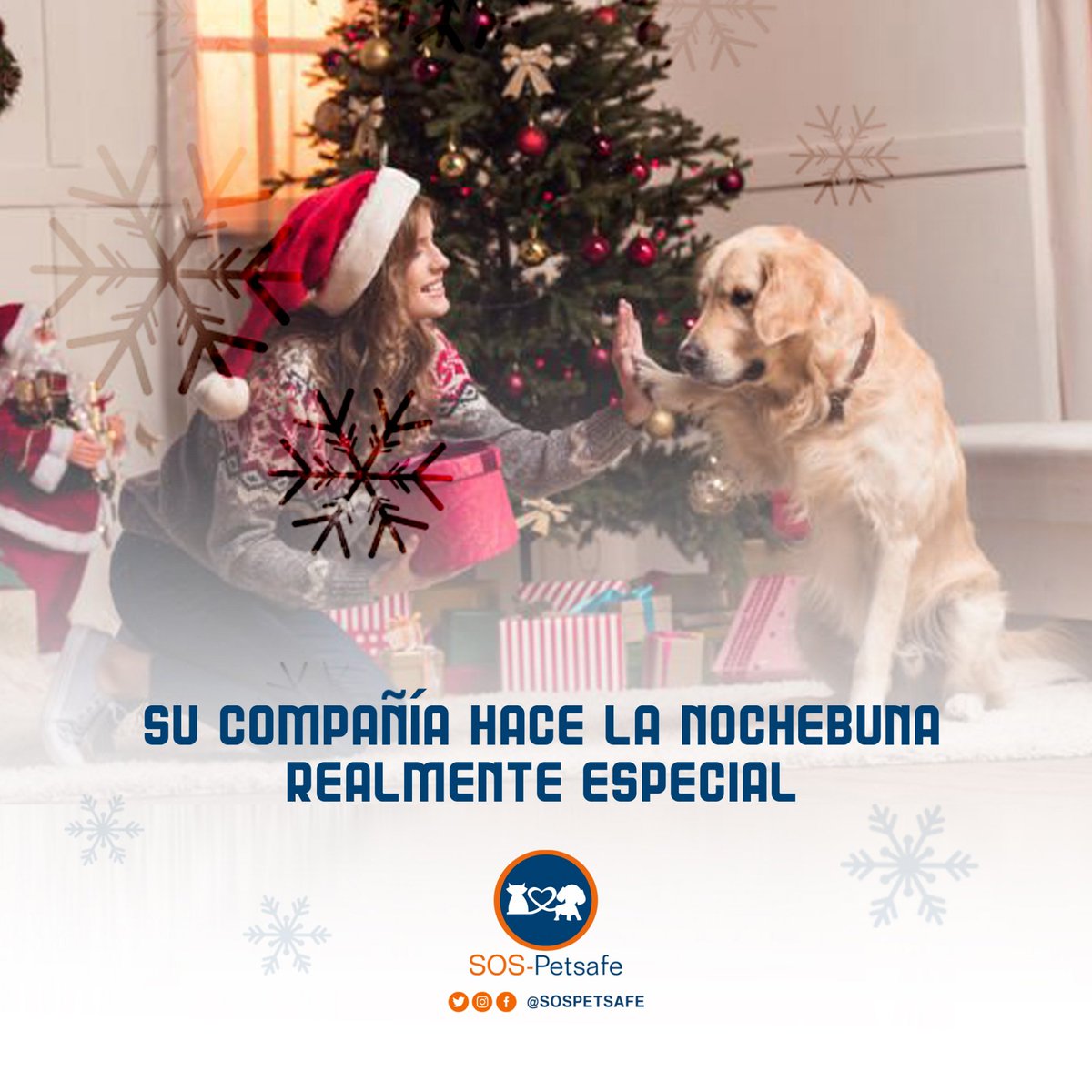 sospetsafe's tweet photo. ¿Qué mejor regalo de #Nochebuena, que esos ojitos tiernos, la colita moviéndose de emoción, sus lamidos de amor y su lealtad incondicional? 😍
·
Las #Navidades son perfectas junto a nuestros #peludos. ¡Feliz Navidad 2018! 🎁🎄🎆
·
·
#SOSPetsafe #FelizNavidad #Navidad https://t.co/mQdr6BoXY0