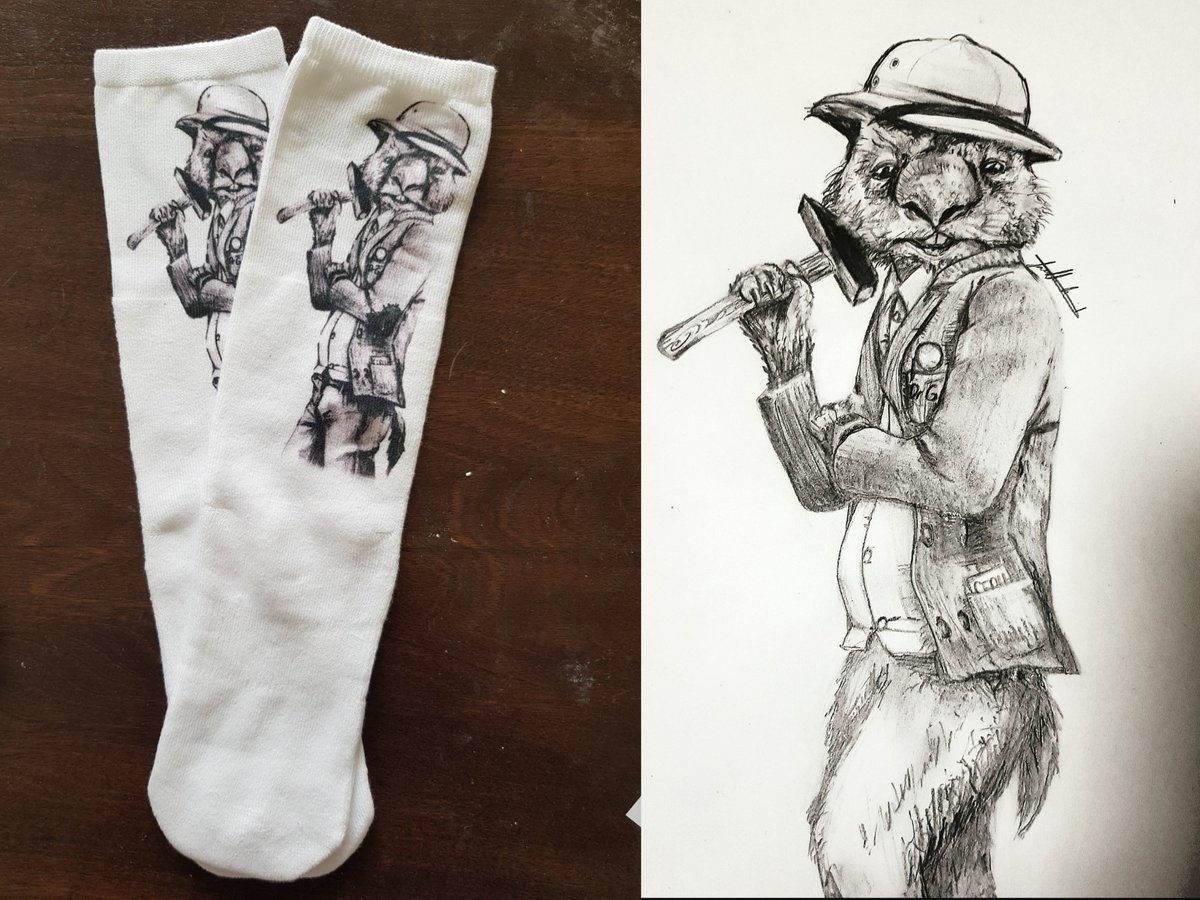 SarahKachovich's tweet photo. The older I get, the more I realise I love socks. #personalisedsocks #palaeontology #Christmas #dobbyisfree #Radiolaria #bryozoans #extinction @TheFatWombat https://t.co/FKgN35ZQEV