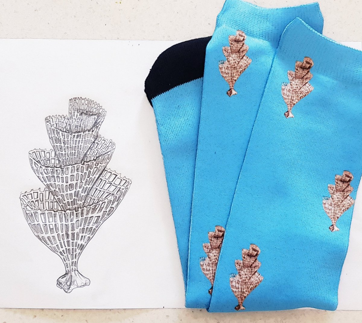 SarahKachovich's tweet photo. The older I get, the more I realise I love socks. #personalisedsocks #palaeontology #Christmas #dobbyisfree #Radiolaria #bryozoans #extinction @TheFatWombat https://t.co/FKgN35ZQEV