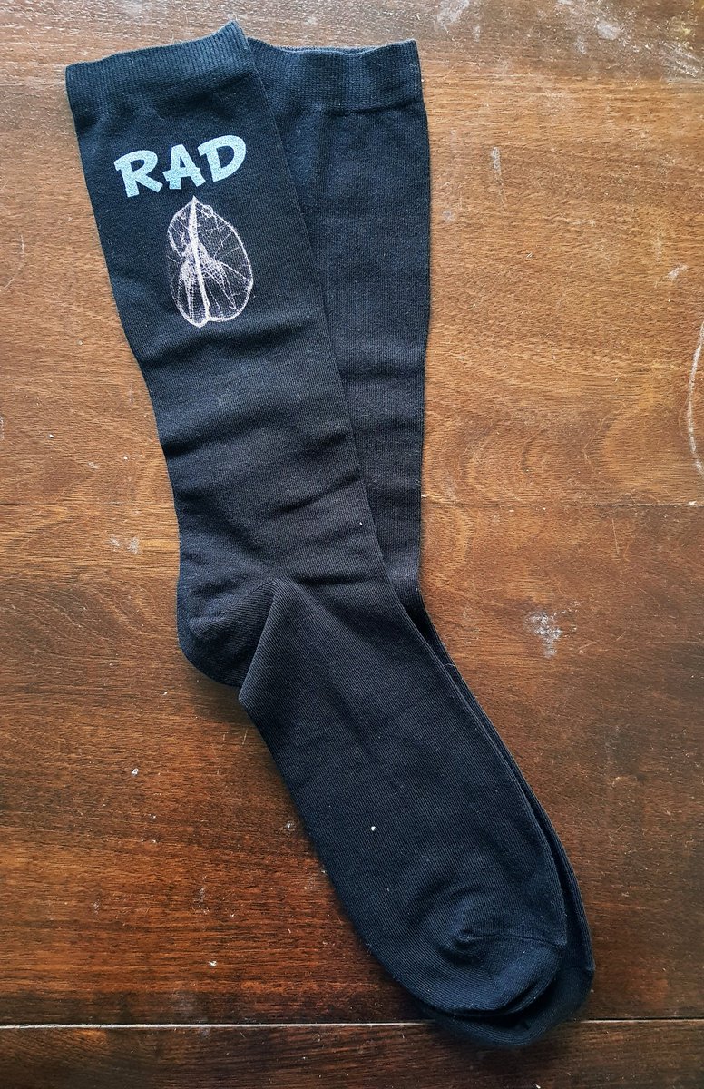 SarahKachovich's tweet photo. The older I get, the more I realise I love socks. #personalisedsocks #palaeontology #Christmas #dobbyisfree #Radiolaria #bryozoans #extinction @TheFatWombat https://t.co/FKgN35ZQEV