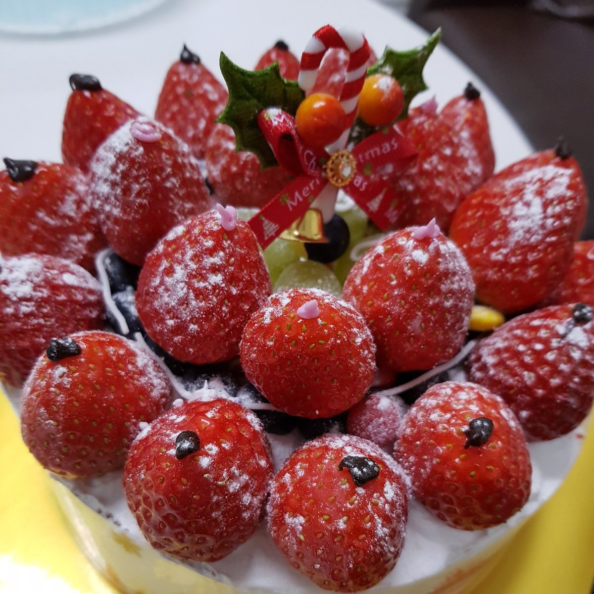 jeongsewoon_twt's tweet image. [#정세운] 행복한 #크리스마스 되세운🤗 #메리크리스마스 ☘🎄#JEONGSEWOON