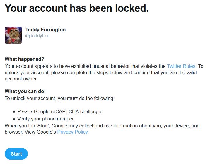 Toddy Furrington tweet media