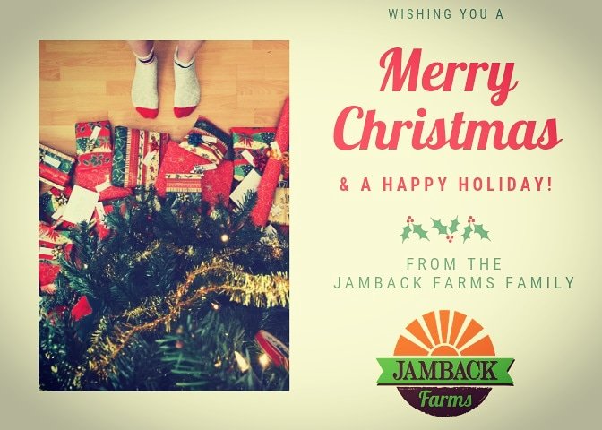 Jamback Farms Jambackfarms Twitter Listen to music by jamback on apple music. jamback farms jambackfarms twitter