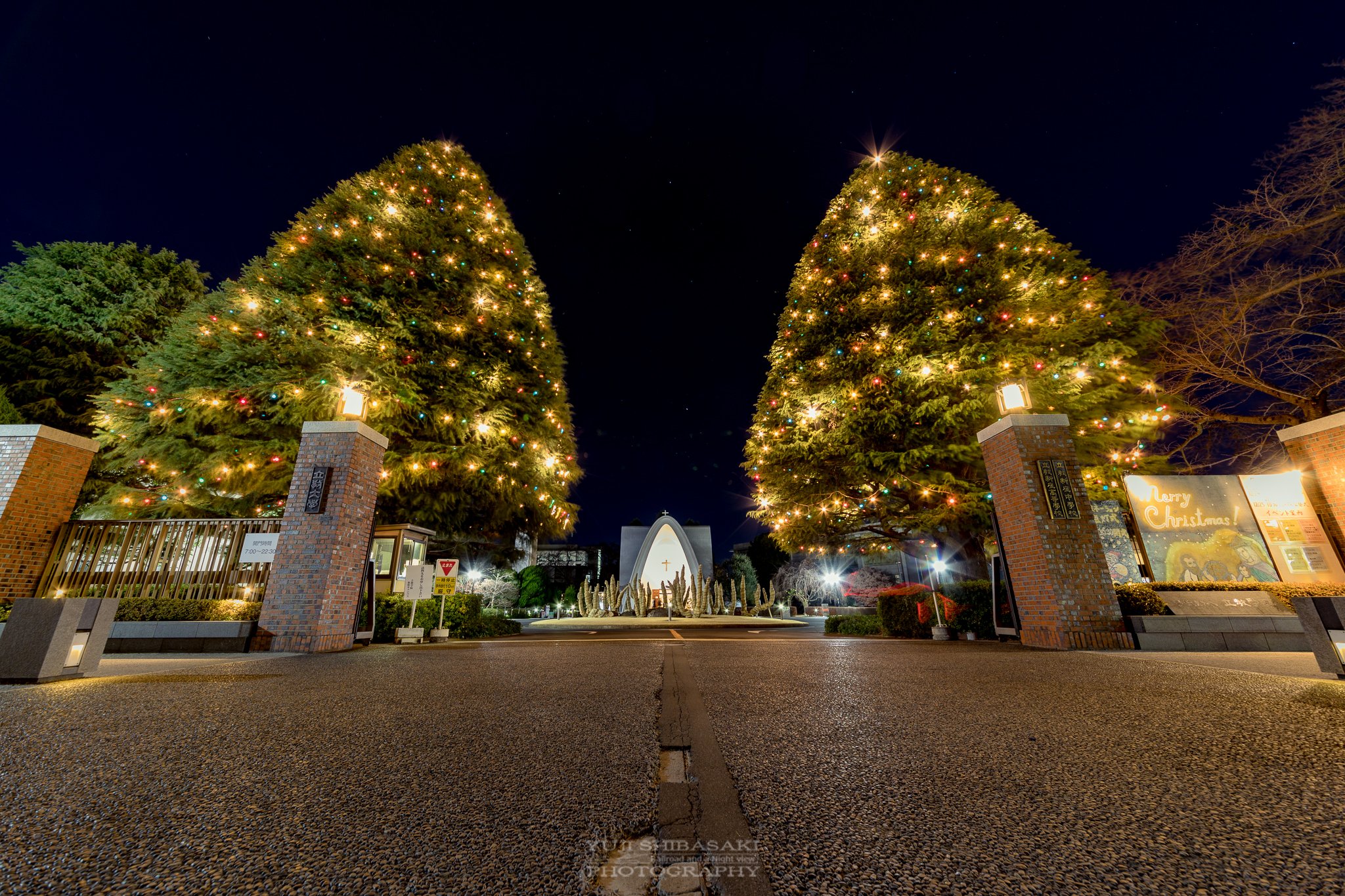 Twitter 上的 Yuji Shibasaki Photo Silent Night 立教大学新座キャンパスの巨大クリスマスツリー 聖なる夜に響き渡る本物の鐘の音色 今日の立教学院聖パウロ礼拝堂では クリスマス礼拝のハンドベルの演奏やクリスマスソングを0時近くまで行っています 立教