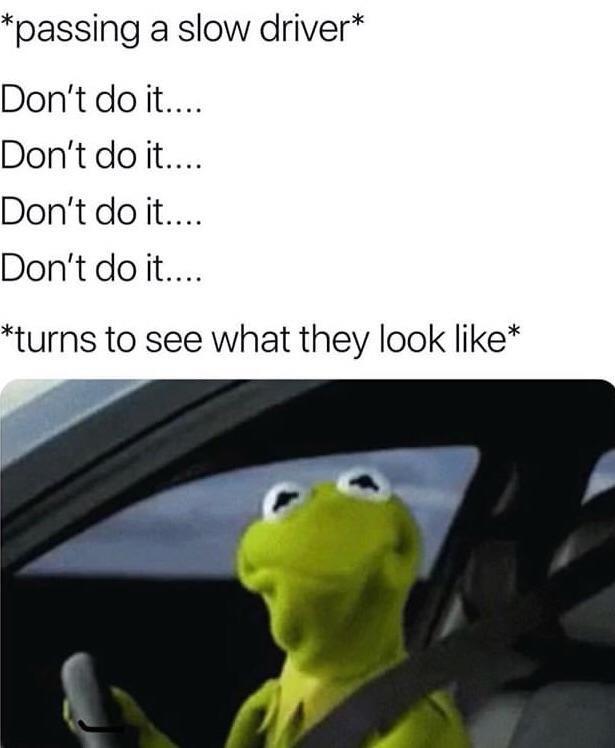 kermit the frog driving face