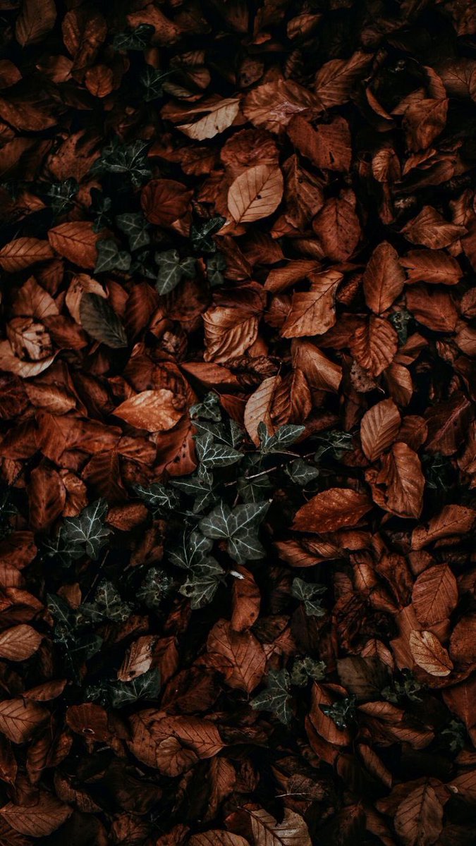 ﴿فَلَمّا زاغوا أَزاغَ اللهُ قُلوبَهُم﴾

قال الشيخ ابن عثيمين -رحمه ﷲ-
الإنسان كلما أوغل في المعاصي؛ ازداد بعداً عن الإقبال على الحق :"