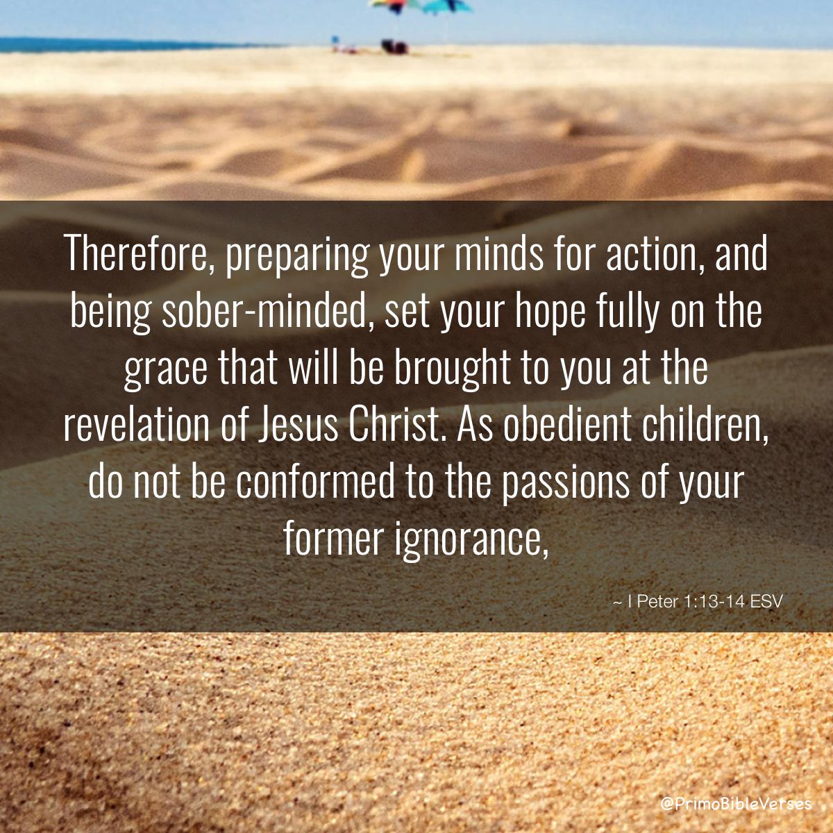 FCA_Endurance's tweet photo. Will you choose to thrive rather than just survive this Christmas? #DailyDevotional via @fcaimpactplay
and @jolee_p #WhyDoYouRace #FCAFam  https://t.co/Xc3Af1XsLn https://t.co/3YVhH6wh7i