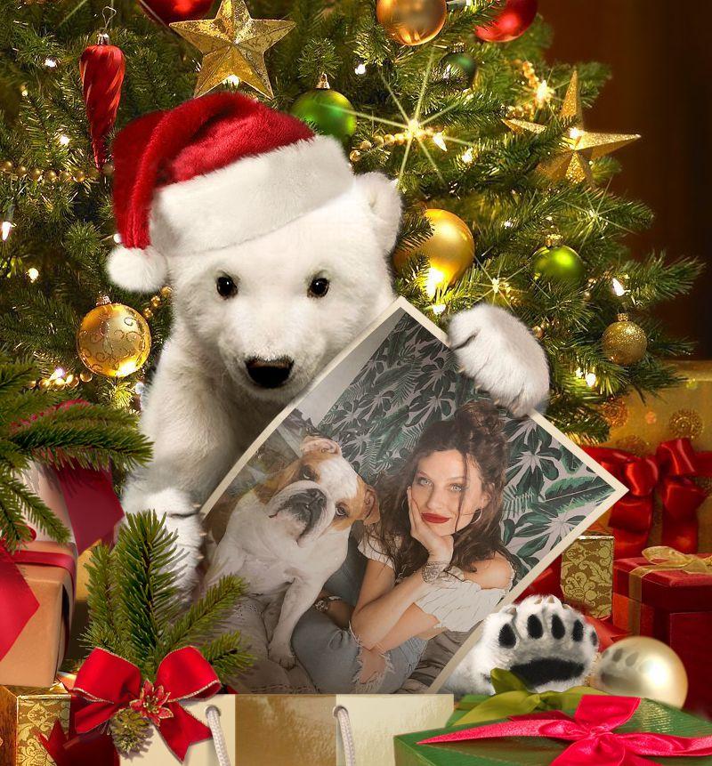 Carlalezcano9's tweet photo. Feliz navidad @valesalezzi que pases un lindo día en familia 🎄🎁🎆✨🎆✨😊🙂🤗 https://t.co/EhLcbjMQ3O