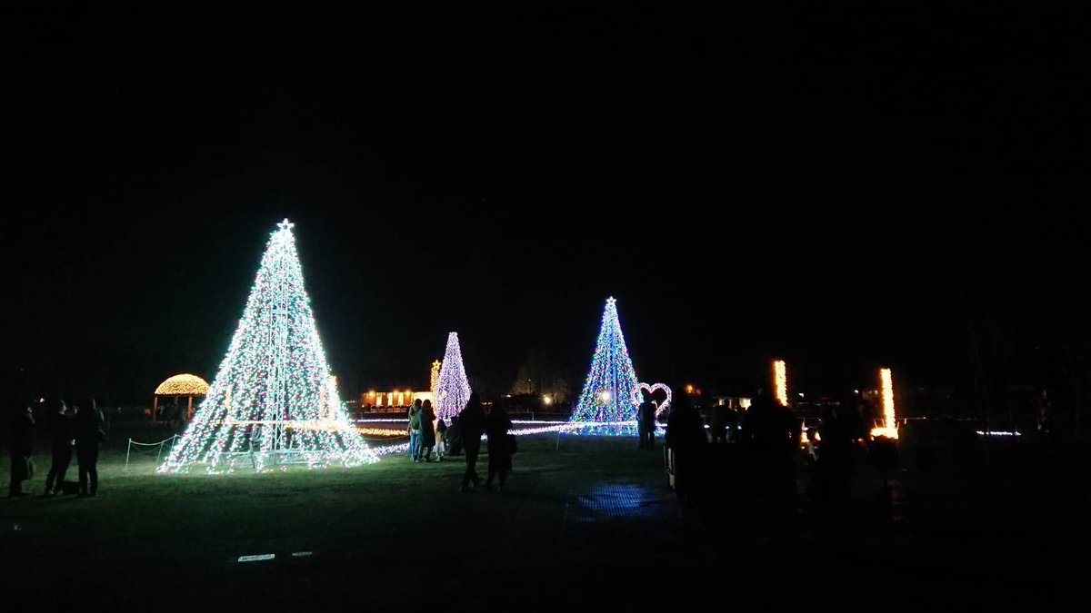 ᗩ Kɑհմվɑ ふなばしアンデルセン公園 イルミネーション クリスマスツリー ヤギ 食べ物 ティラミスラテ ビーフタコス ケンタズポスケ スモークドブラッツ