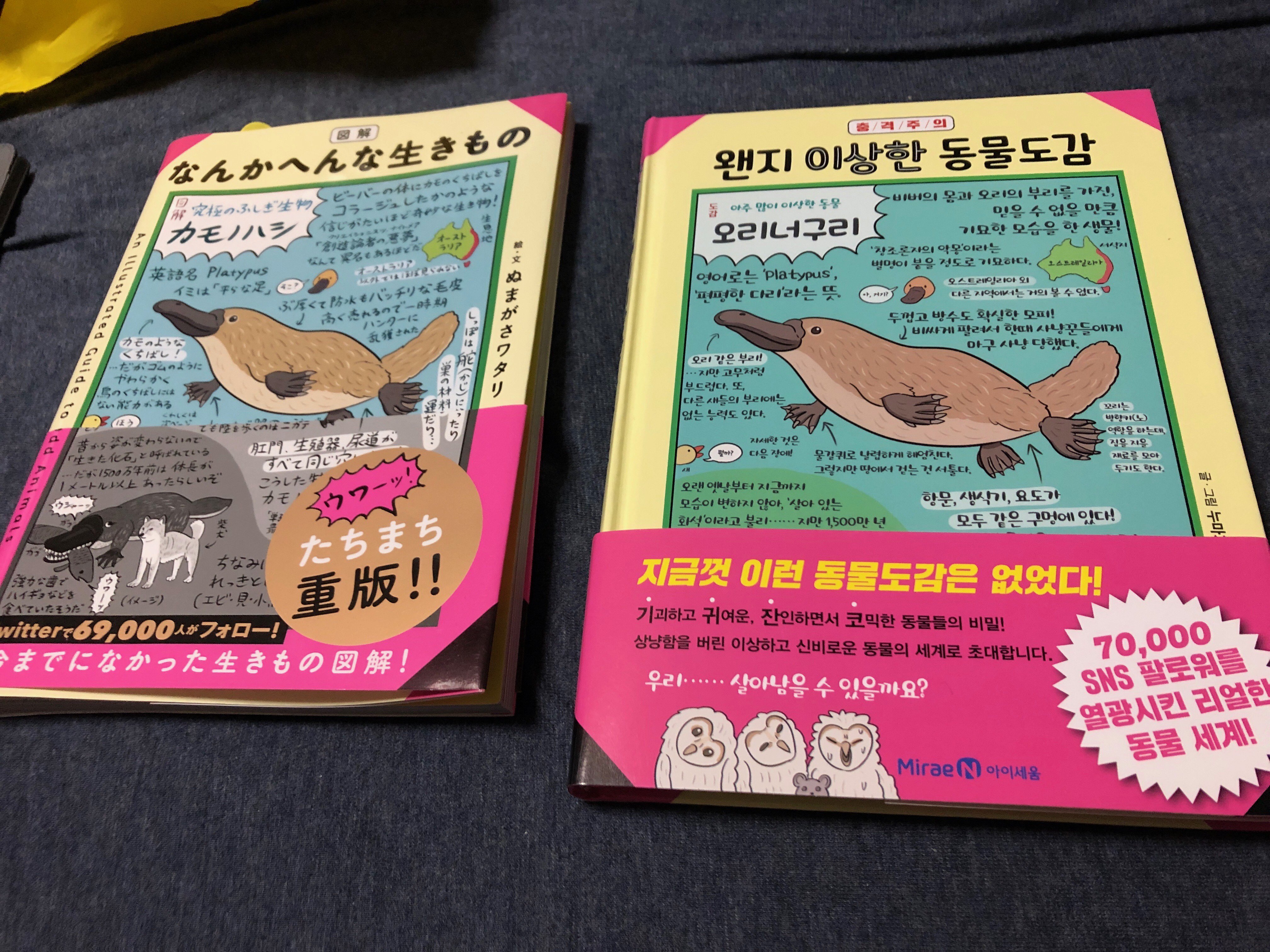 ぬまがさワタリ Twitterissa 最近 図解なんかへんな生きもの 韓国語版も刊行されたので読み比べてみてね T Co He7mwdvuhi Twitter