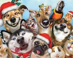 LostFidoAlert's tweet photo. From our family to yours. Have a very Merry Christmas. https://t.co/ZDhV2kR9i0