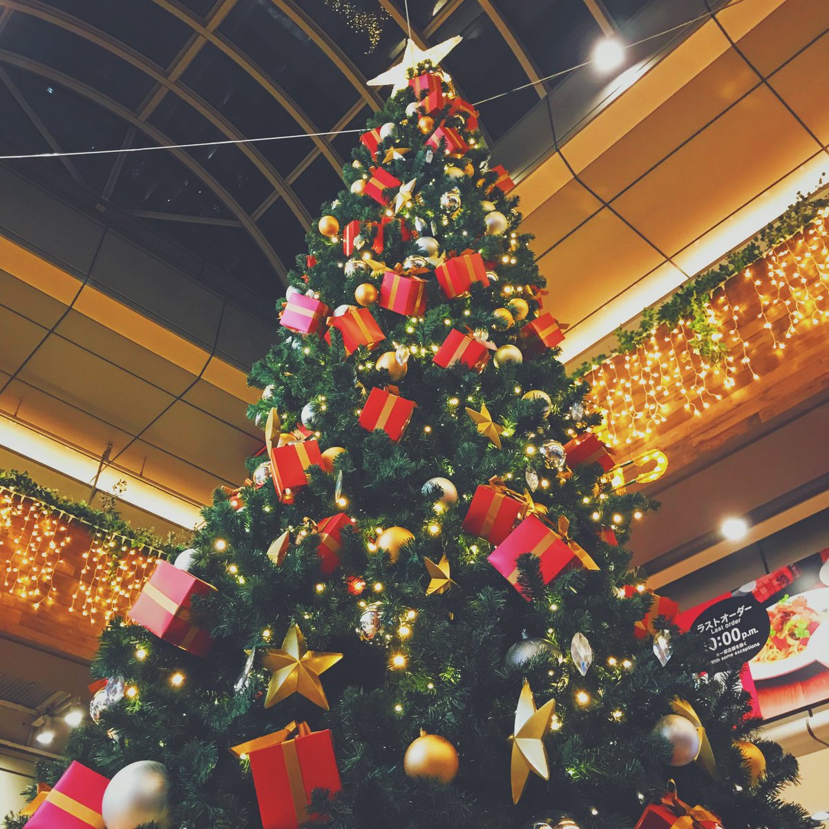 やあちゃん メリメリクリスマス みなさん良いクリスマスを 彡 ツリーツイートの数だけ幸せがやってくる メリークリスマス クリスマスツリー トナカイ サンタ コンビニケーキ 写真好きな人と繋がりたい キリトリセカイ Photography やあちゃん メリメリクリスマス みなさん良いクリスマスを 彡 ツリーツイートの数だけ幸せがやってくる メリークリスマス クリスマスツリー トナカイ サンタ コンビニケーキ 写真好きな人と繋がりたい キリトリセカイ Photography