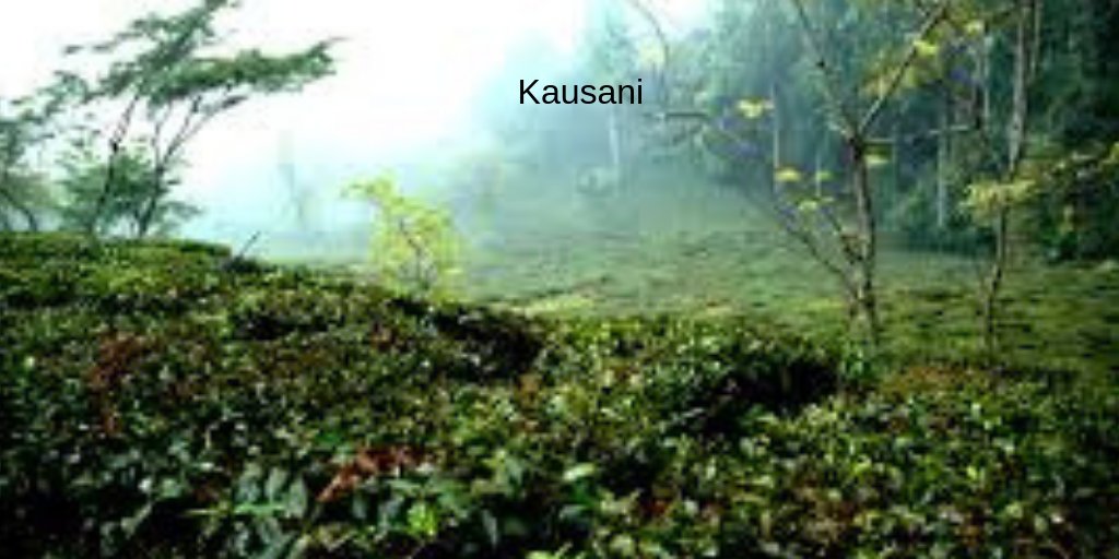 DigiUttarakhand's tweet photo. Kausani is #SwitzerlandofIndia. #Greentea is world famous of Kausani. It is situated Uttarakhand in India. https://t.co/PpO8LJn1v9 https://t.co/yv22HpaUeE