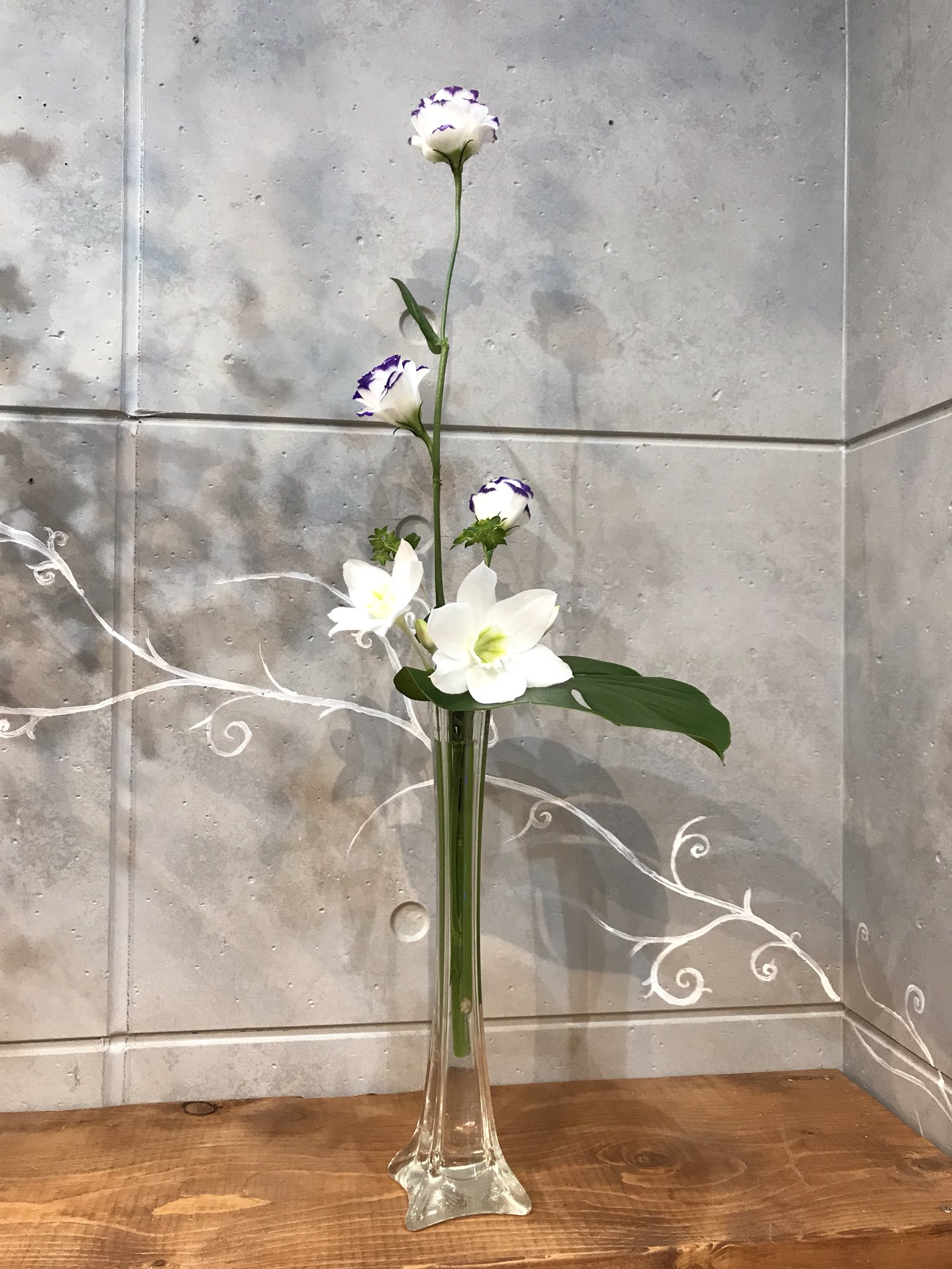花笑み Hanaemi Hoya Twitter