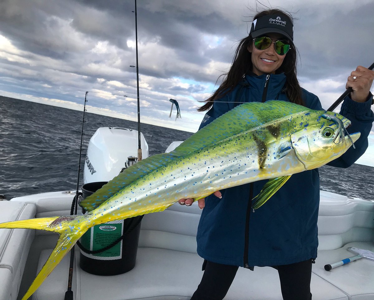 Sara_Salt_'s tweet photo. It’s a Christmas Mahi! Impromptu trip and even after full moon my Capt knew what he was doin! 👍🏽😎 @UnchartedWtrsTV @PeterMillerFish #MerryChrismas #breaklineoptics #spotzerowater https://t.co/BEoBRZs8WS