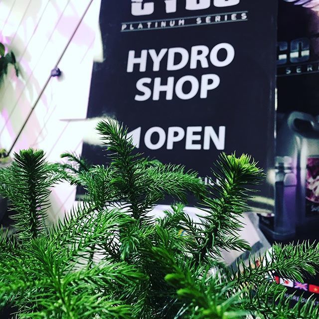 Happy Holidays!  We are open until 4pm today, Christmas Eve, for anyone looking for last minute gifts for your favorite growers and gardeners! Santa left some samples for anyone who comes by to visit us today to say hi! bit.ly/2EH2JKS