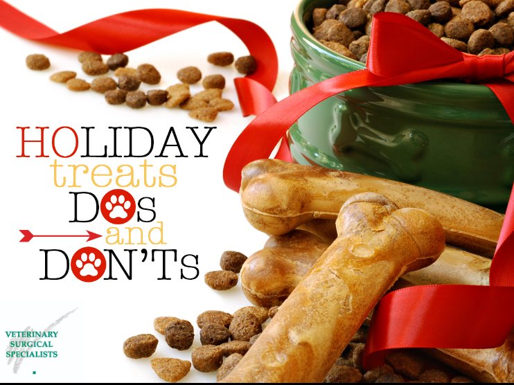VSSOCTustin's tweet photo. We love to pamper our pets with tasty treats at the holidays, but keep their health and safety in mind: https://t.co/LWZ1CPbtTq https://t.co/AdT0e6TNeK