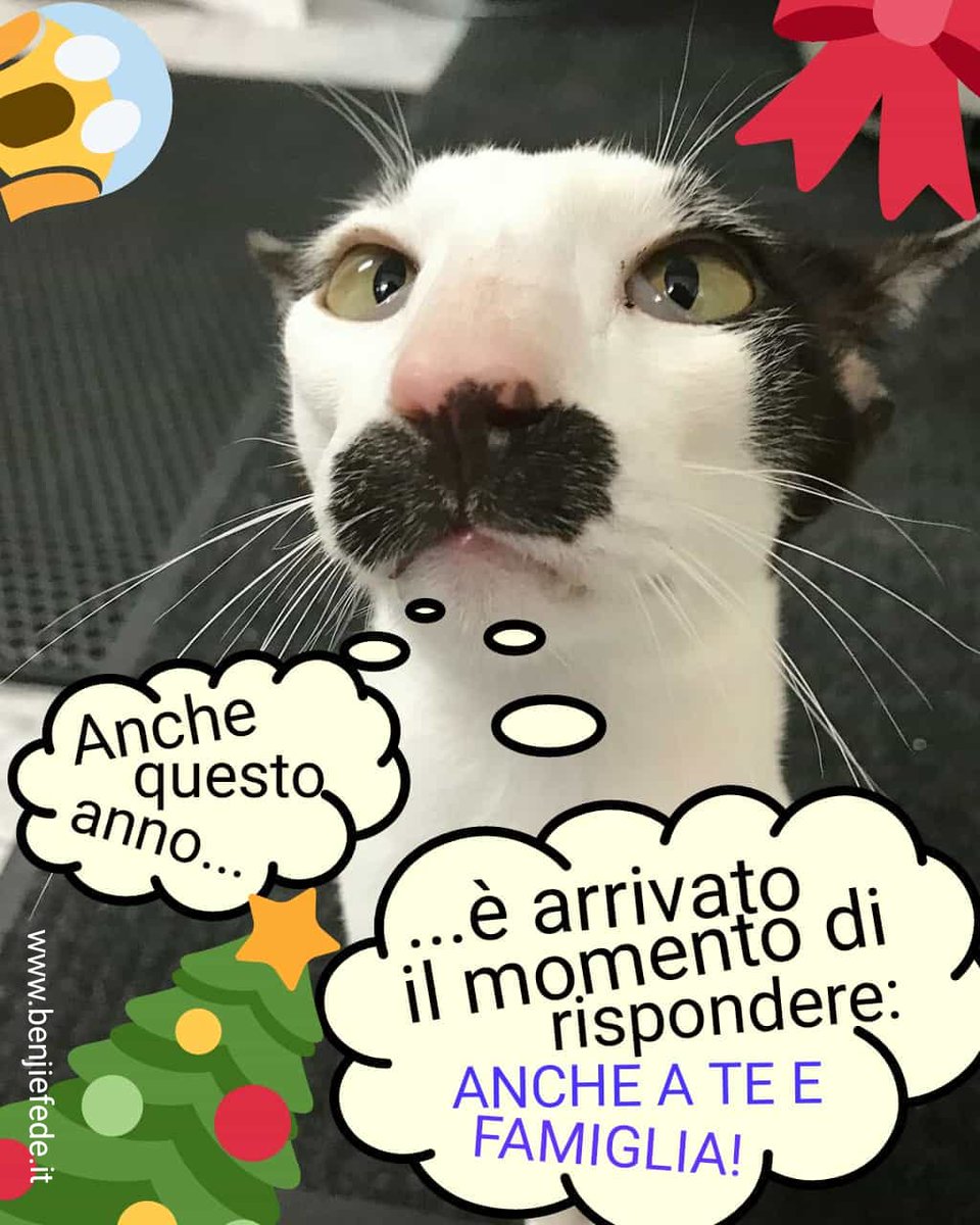 netsharper's tweet photo. Ok, è #ufficiale #auguri #happy #natale #xmas #BestWishes #wishes #cats #gatti #regalo #regaloriciclato @BenjieFede @Benji_Mascolo @fedefederossi https://t.co/piCodt7Gjq