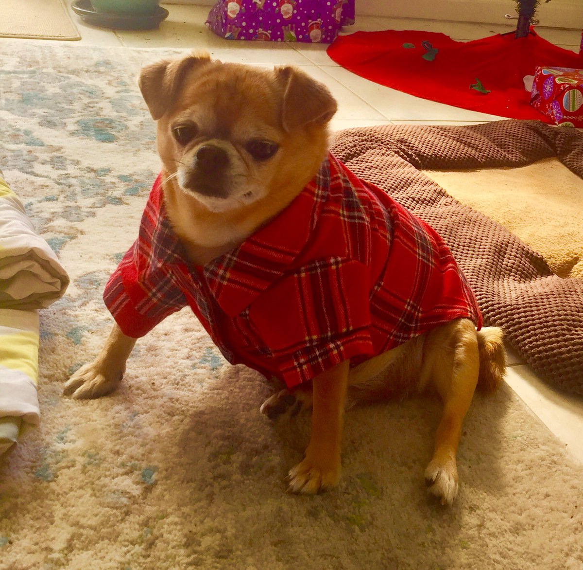 minnimascot's tweet photo. https://t.co/YNUsVBoAt3