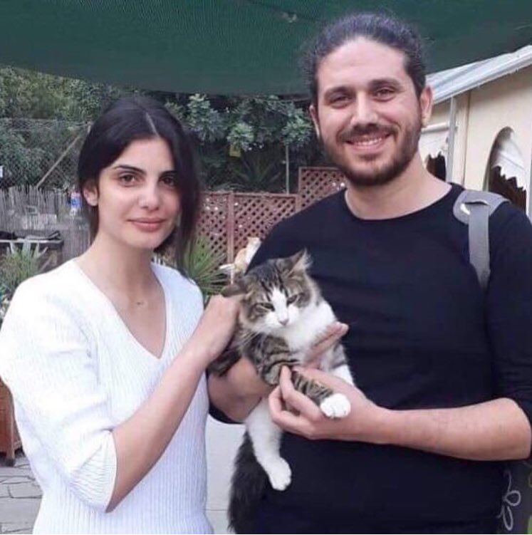 Talacats's tweet image. Rehome 711 .. Here is Nemo. Nemo has been lovingly adopted by Leda and Nicholas from Limassol who came to visit the cat park. Thankyou both so much for giving this beautiful cat a forever home! 😻 #rehome #CatsOfTwitter #cats