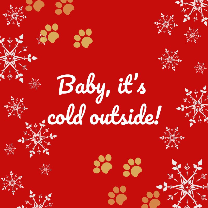 CAIsocial's tweet image. If it’s too cold outdoors for your comfort, your pets will be cold too! Don’t leave pets outside in cold or freezing temperatures. Fur coats can only provide so much warmth and exposing pets to extreme cold is dangerous.