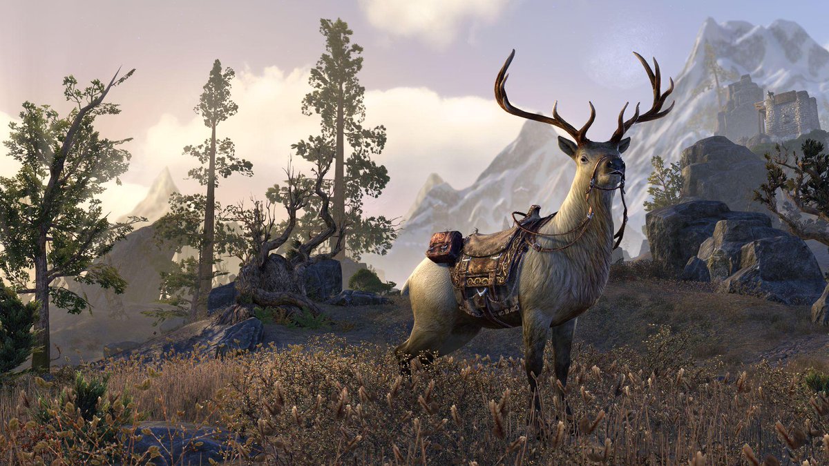 The Elder Scrolls Online tweet media