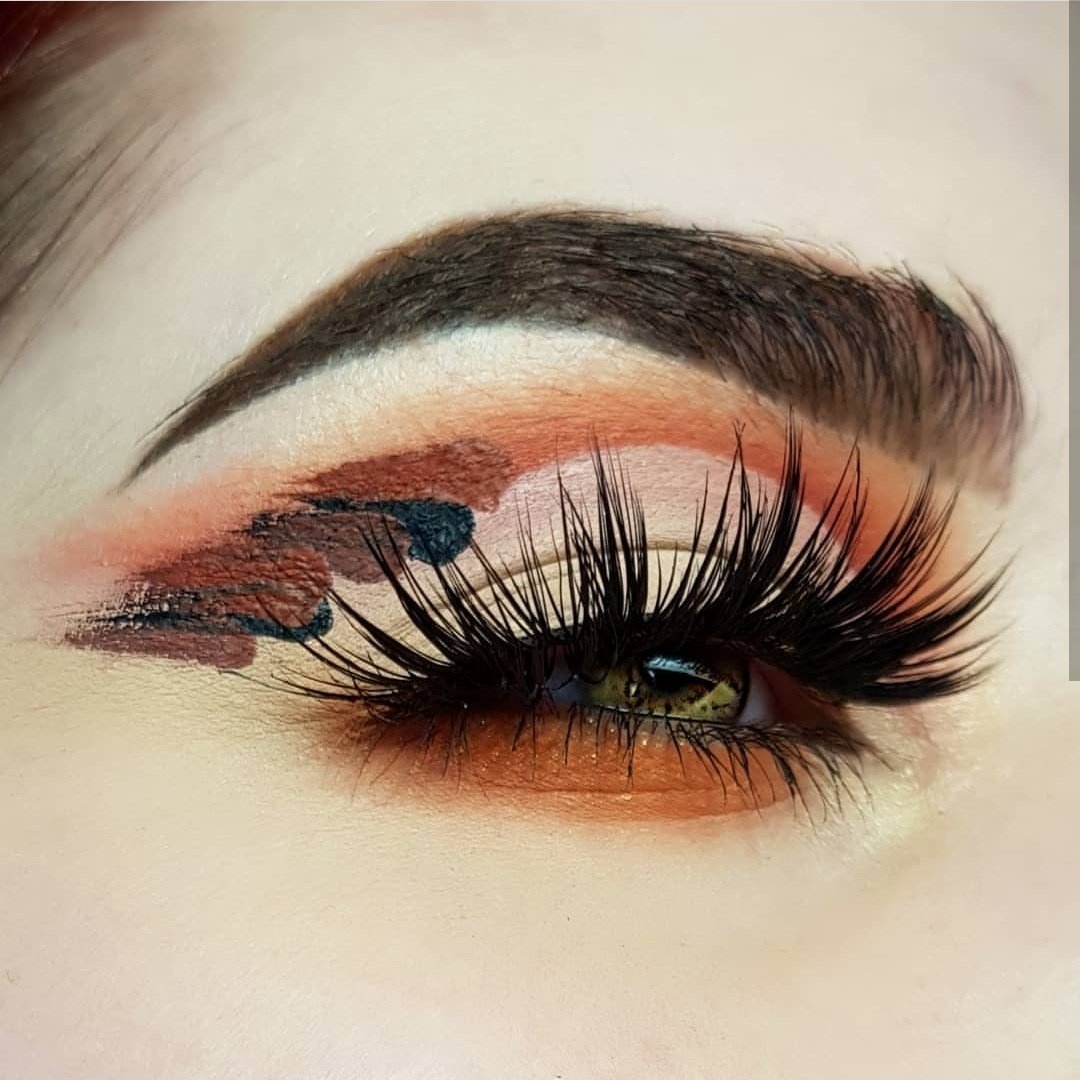 blackcatmua's tweet photo. January vs December, 12 month growth is strong 💪 https://t.co/MtrIoUQQPg