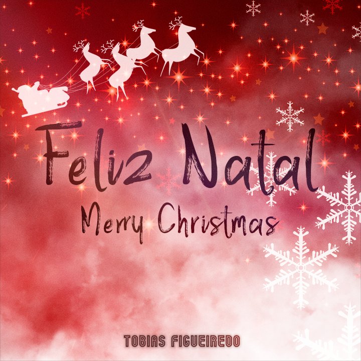 Um Santo e Feliz Natal para todos vós 🎄🎄 A holy and merry Christmas to you all