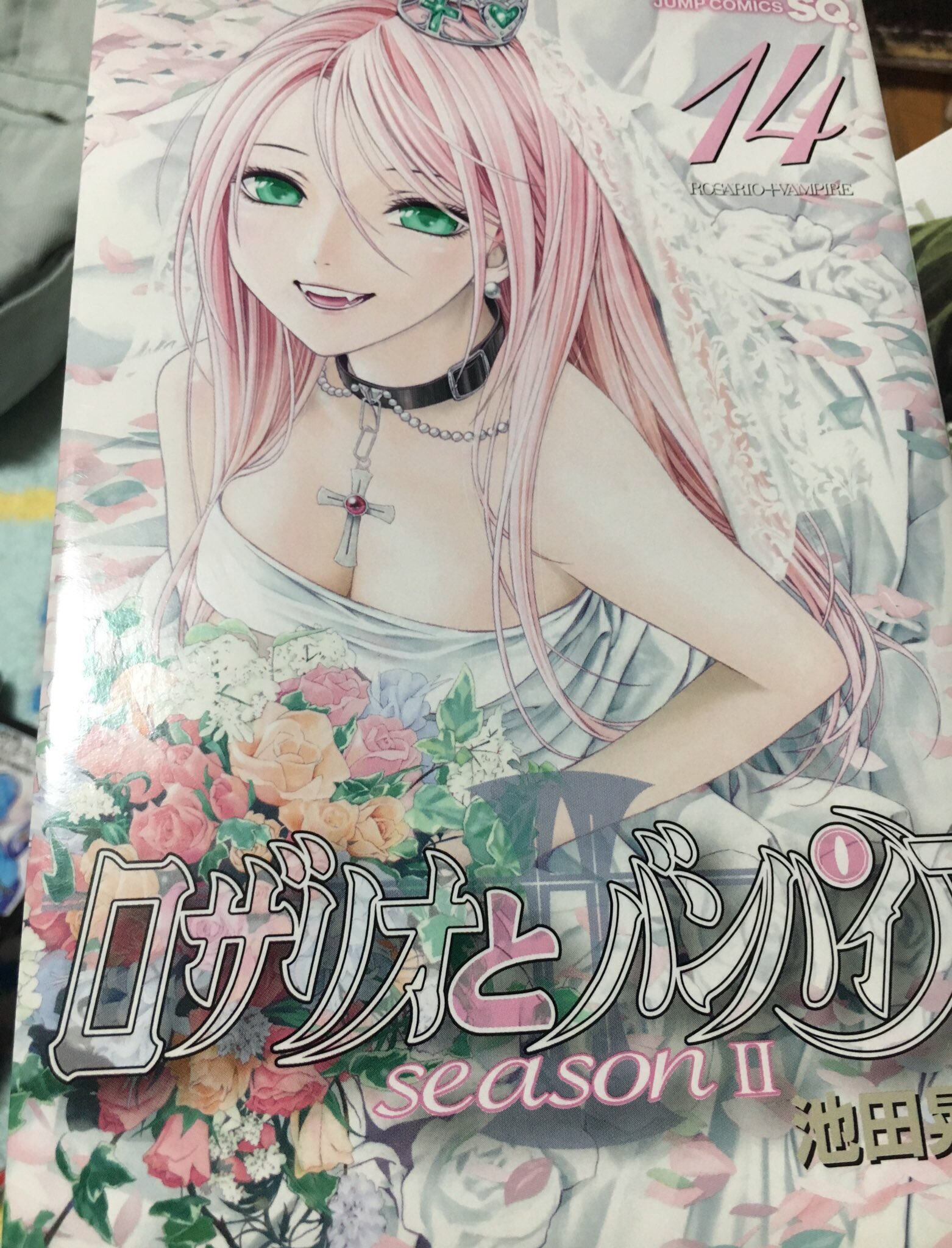 蒼き閃光 航大 ロザリオとバンパイア全巻読んだ 感動した ほんとに美しいモカさん ロザリオとバンパイア ロザバン 続きが見たい 池田晃久 T Co Oydbyvnfk9 Twitter