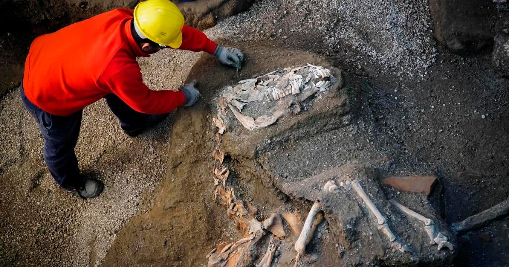 Archaeologists have unearthed the petrified remains of a harnessed horse and saddle in the stable of an ancient villa in a Pompeii suburb cbsn.ws/2T6nGmj