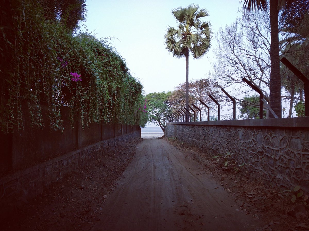 Adventurecall1's tweet photo. Found a hidden approach to Mandhwa #beach off #alibaug. I loved how picture perfect it was.. 
#beachholiday #travels https://t.co/tbTqA9p9bd