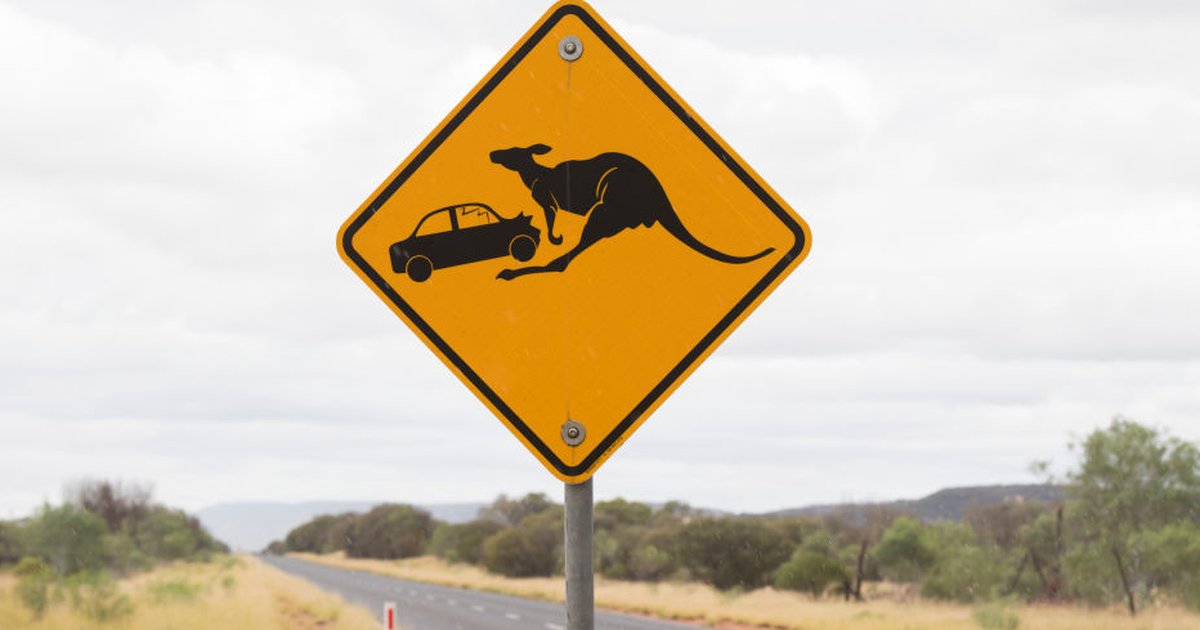 Quinn Fillmon tweet media