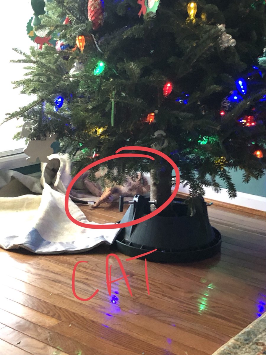 coldjentime's tweet photo. I’ve given up. #treemurderer https://t.co/vUXQuVrGWd