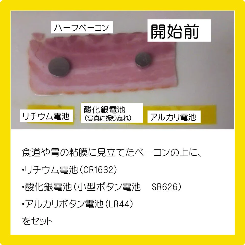 ボタン電池の誤飲がどれだけ危ないかわかりやすく実験してくれた！！これは本当に危ない……！！