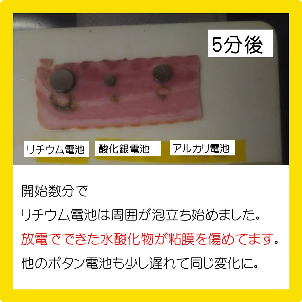 ボタン電池の誤飲がどれだけ危ないかわかりやすく実験してくれた！！これは本当に危ない……！！