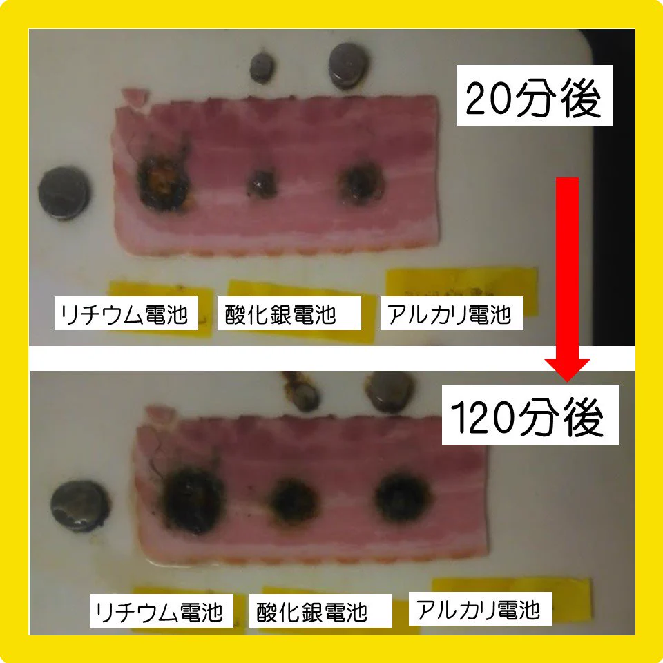 ボタン電池の誤飲がどれだけ危ないかわかりやすく実験してくれた！！これは本当に危ない……！！