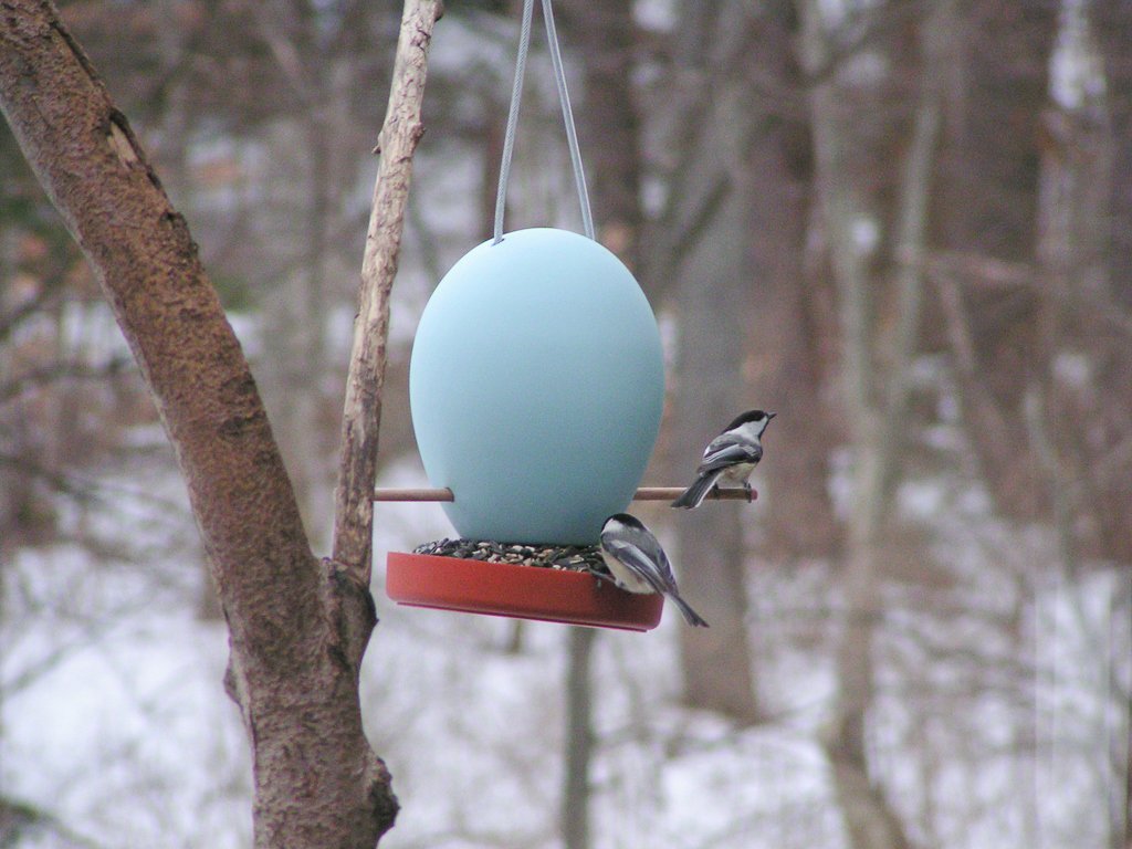 jschatzstudio's tweet image. Chickadees discover and prove that the Egg Bird Feeder can be success. It took us 6 months to bring this concept to life in 2004. It started with this egg shape, a couple of wooden dowels, and a plastic tray as proof of concept. #jschatz #theartofcreating #thisiswhathandmadeis