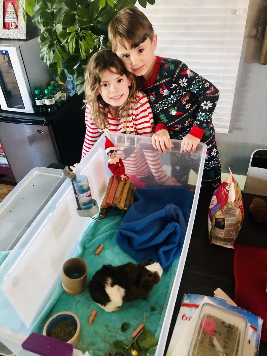 Ddputman's tweet photo. Even Shelf the Elf loves Chester! Merry Christmas Eve everyone! @Thomsen108 @CoonleyES #ClassPetAdventures https://t.co/PLSDx1nd1z