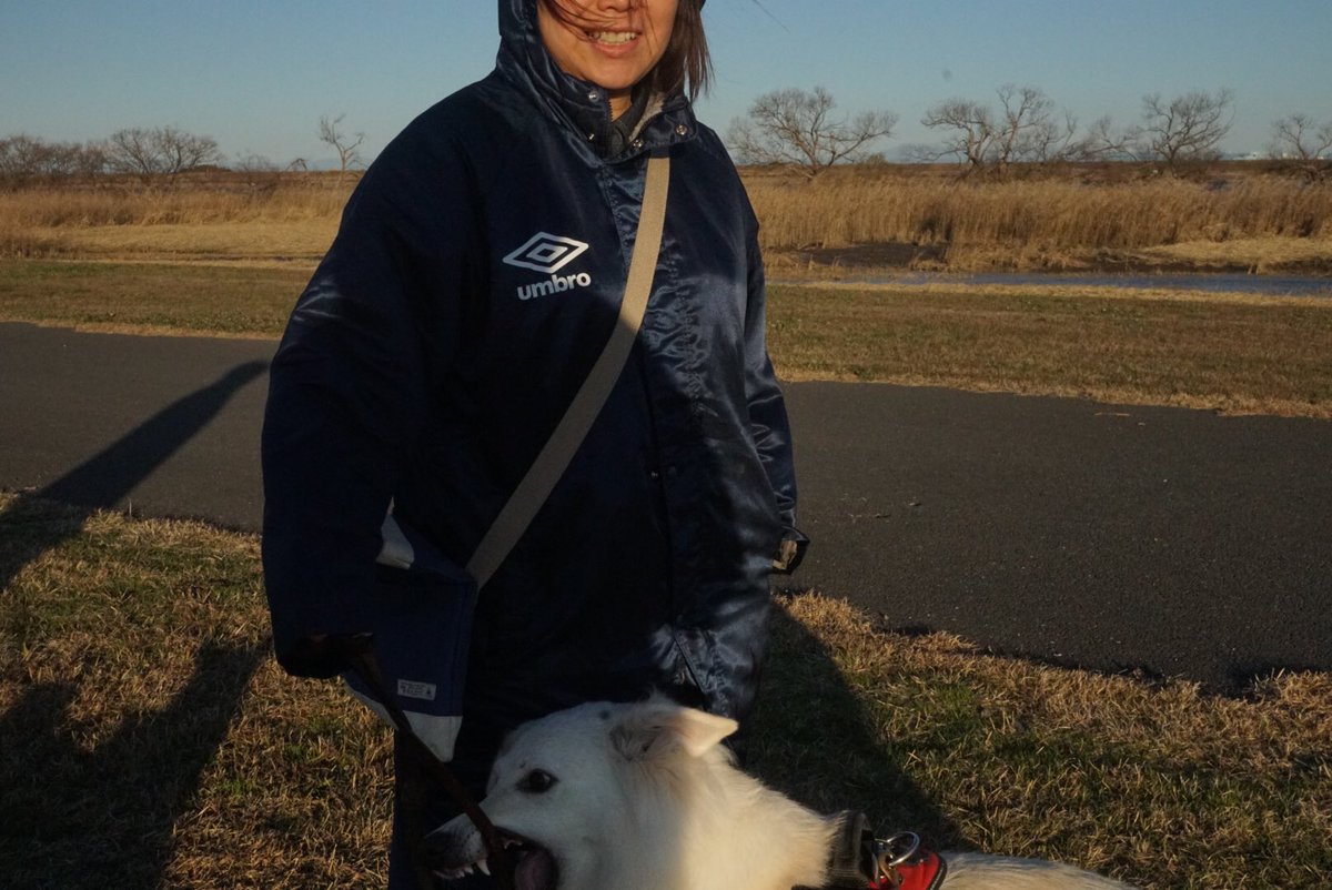 らぴぽ 木曽三川公園のドッグランに行って来た 玄関にコートを忘れて来て寒くて困った トランクに昔のベンチコートが入ってて良かったね なんて話してたら人知れず下の方で らぴすが大変な事になってたらしい写真