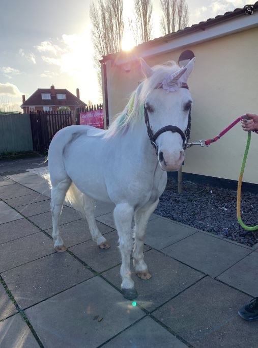 Wishing everyone who works on #BigLocal &amp; our followers &amp; friends a very happy and peaceful Christmas. Pic courtesy of <a href="/biglocalSBH/">SBH Big Local</a> #unicorns #christmas