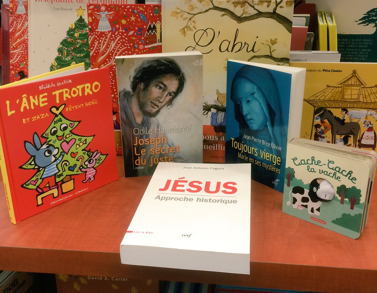 laprocure_Lyon's tweet photo. Avec cette crèche un peu originale, l'équipe de la Procure de Lyon vous souhaite un joyeux Noël ! https://t.co/fDGCLJ3R9k