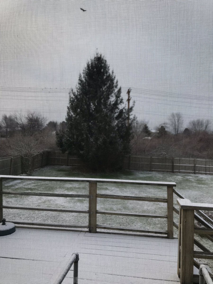 Happyspappy's tweet photo. His soul swooned slowly as he heard the snow falling faintly through the universe and faintly falling, like the descent of their last end, upon all the living and the dead. https://t.co/DWnaO6U98i