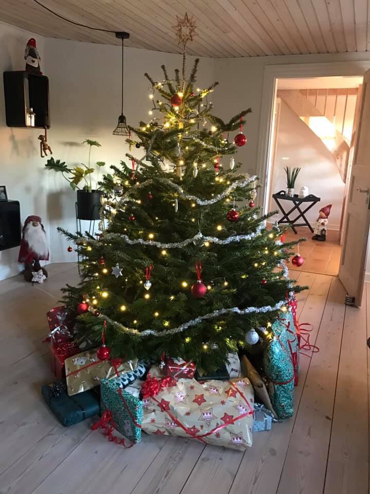 Merry Christmas Everyone 🎄🎅🏽