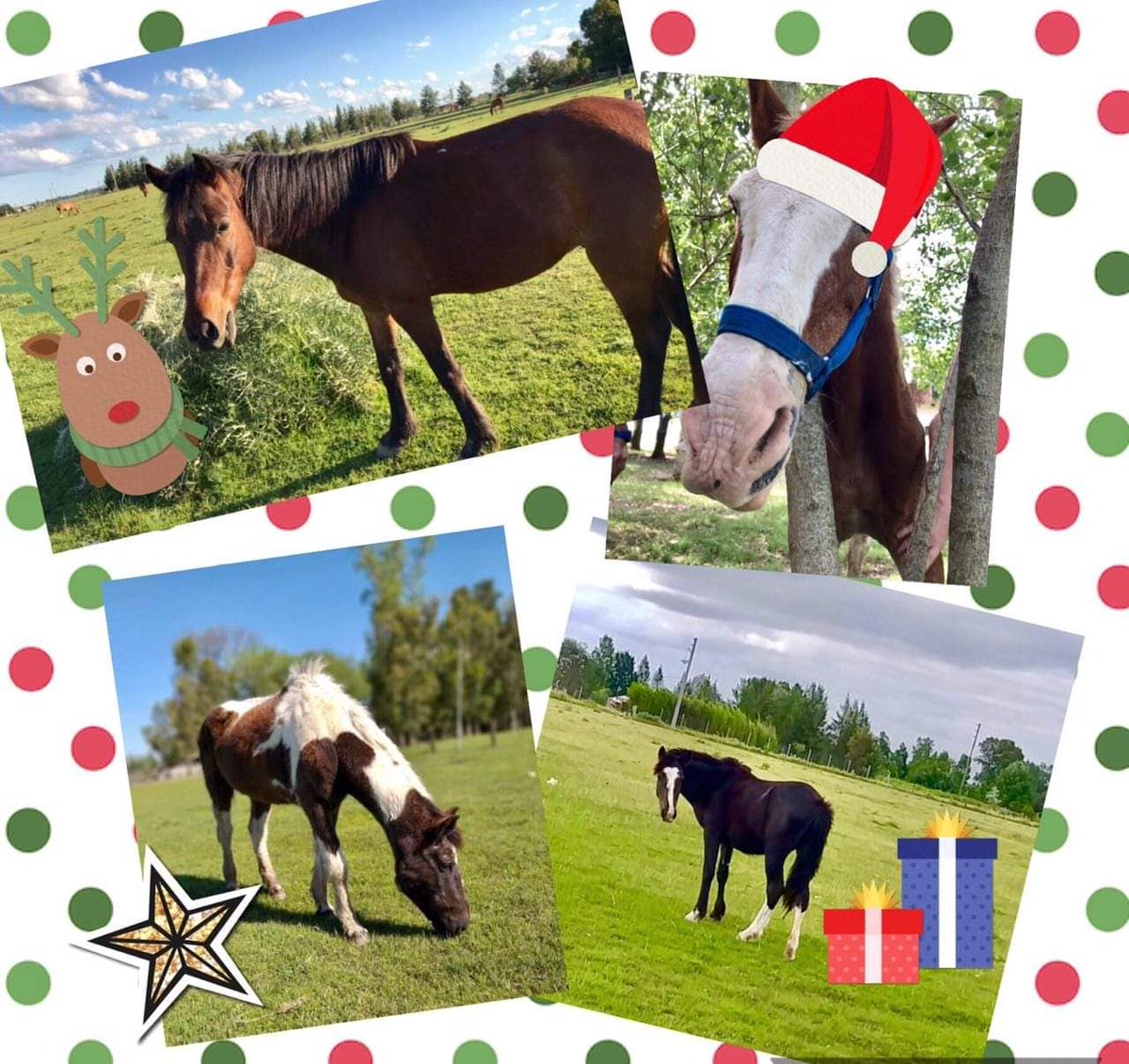 RescatistasSur's tweet photo. 💕FELIZ NAVIDAD!!!
Que se cumplan todos nuestros deseos de #Paz, #Amor y #Justicia!!!
#RdS2018 https://t.co/MOFn785Cjl
