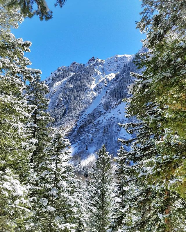 grandcircletrip's tweet photo. Merry Christmas.✨🎄✨ #aspencolorado
#aspenglow
#スキーはしないけど、、、
#すき https://t.co/u3IVqCnqp8 https://t.co/huQ9IDXk5S