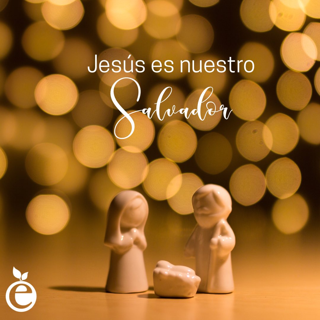 EdificaMujer's tweet photo. “Porque os ha nacido hoy, en la ciudad de David, un Salvador, que es Cristo el Señor.”
Lucas 2:11
#FelizNavidad #CelebremosAJesus #TenemosUnSalvador #ComparteSuAmor #Edificamujer https://t.co/J3sspNNdkF