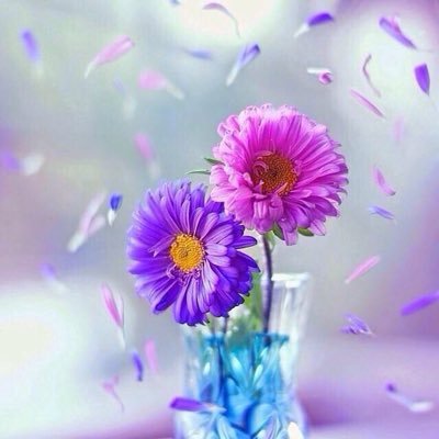 a11a1115's tweet photo. @danahhmm https://t.co/428DU8uMMJ