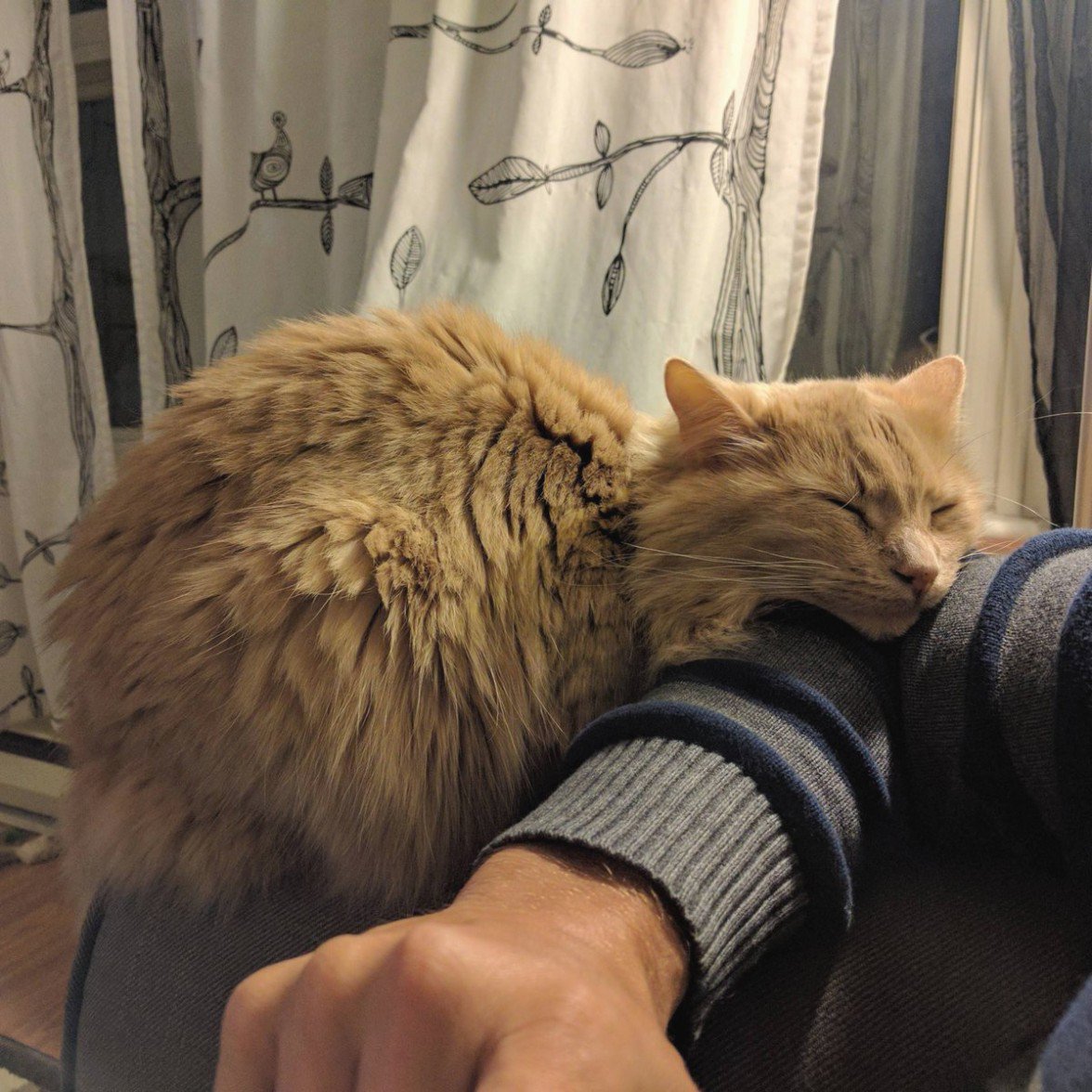 OurLovelyNature's tweet photo. Just got home from vacation. I think he missed us https://t.co/XlsT4u2Fld