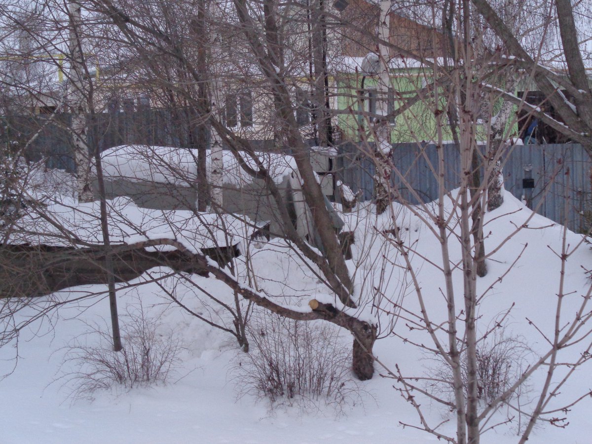Isachenkova86's tweet photo. @Tularegion71 Отделом муниципального контроля выявлено нарушение правил благоустройства https://t.co/pV671V6LtT